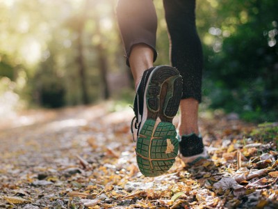 Lauftraining im Wald