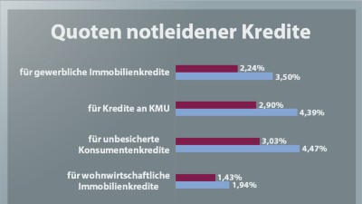 NPL-Baromenter BKS 2020
