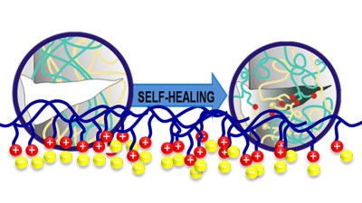 Chemiker der Martin-Luther-Universität Halle-Wittenberg forschen an sich selbstheilenden Batterien.