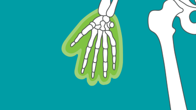 Hand & Handgelenk