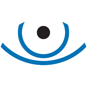 DSG Logo