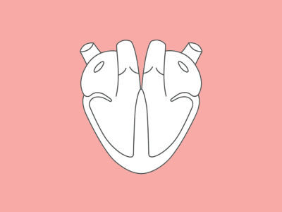 Kardiologie