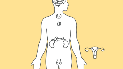 Endokrinologie/Diabetologie