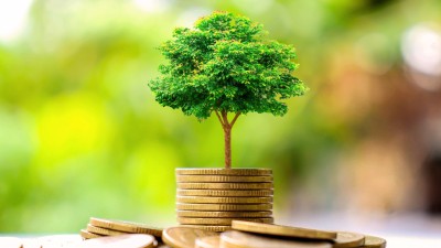 Baum wächst auf Münzen