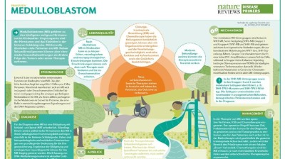 PrimeView Medulloblastom