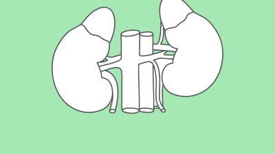 Nephrologie
