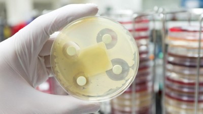 Klassisches Antibiogramm