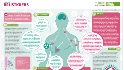 PrimeView Brustkrebs
