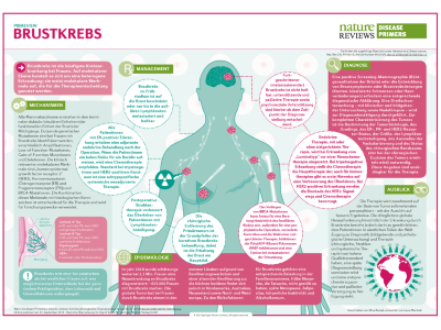 PrimeView Brustkrebs