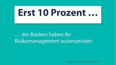 Risk Management Leader SAS 2021