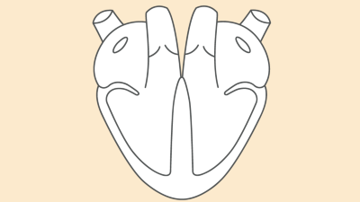 Kardiologie