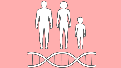 Genetik