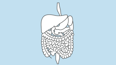 Gastrointestinaltrakt