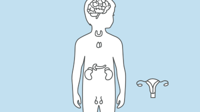 Endokrinologie