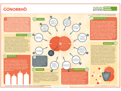 PrimeView Gonorröh