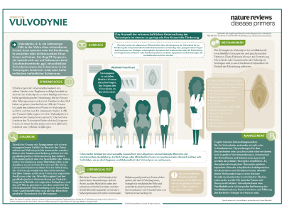 PrimeView Vulvodynie