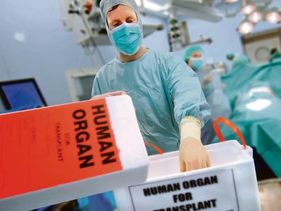 Transport Organspende