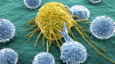 Immunabwehr Krebszelle