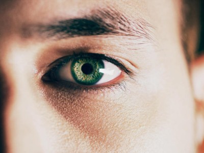 Auge