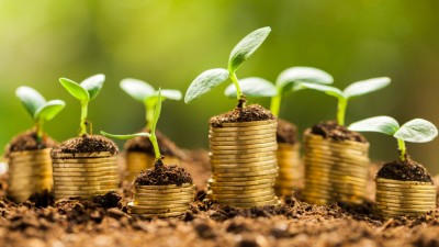 Nachhaltigkeit Green Banking