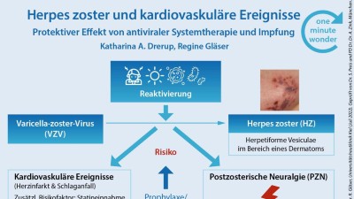 One Minute Wonder: Herpes zoster und kardiovaskuläre Ereignisse