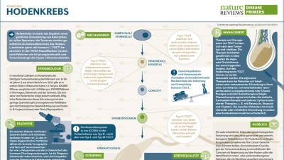PrimeView Hodenkrebs