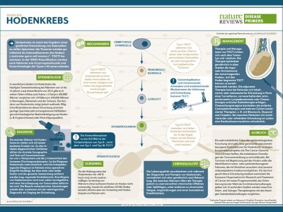 PrimeView Hodenkrebs