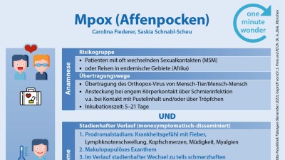 One Minute Wonder: Klinischer Verlauf und Diagnostik von Affenpocken (MPox)