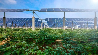 Bild Agri-PV 