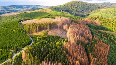 Nachhaltigkeit bei SpringerNature