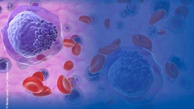 AML-Update
