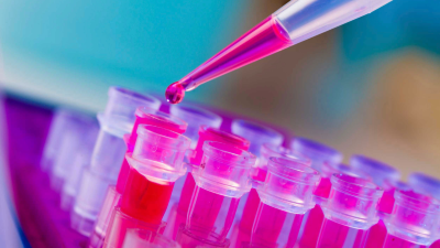 PCR-Strip-Test