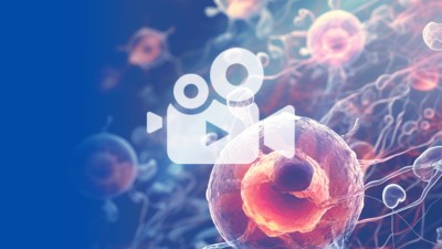 Multiples Myelom und Niereninsuffizienz