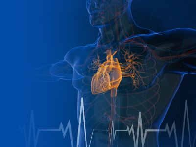 Illustration of heart and ECG