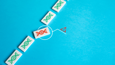 DNA damage conceptual