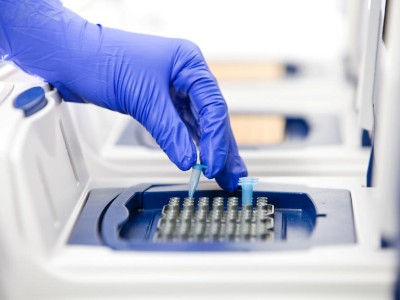 Person setzt DNS-Probe in Maschine ein