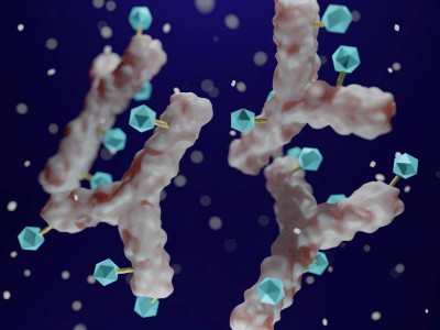 Antibody drug conjugated with cytotoxic payload