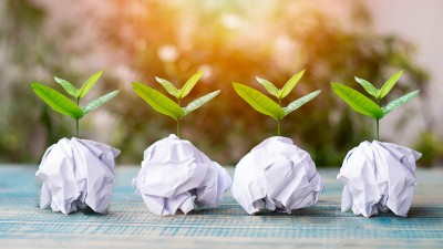 Kleiner Baum wächst auf Papierrecycling