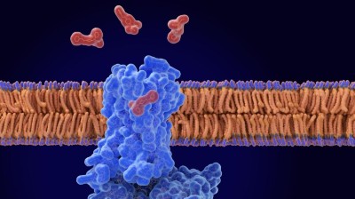Interdisziplinäre multimodale Schmerztherapie