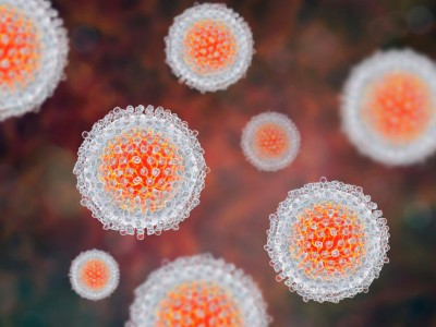 Hepatitis-C-Virus-Modell