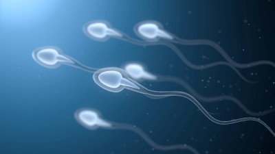 3D rendered human spermatozoa