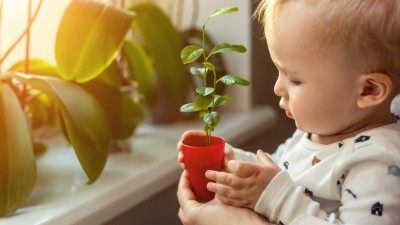 Kind am Fenster mit Pflanze