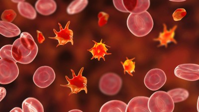 3D illustration of platelets in blood smear