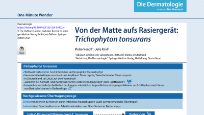 One Minute Wonder: Ringerpilz