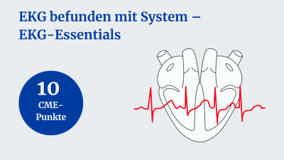 EKG befunden mit System - EKG Essential
