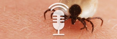 ZFA TALKS - Zeckenstich