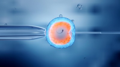 In-Vitro Fertilisation