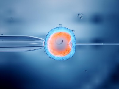 In-Vitro Fertilisation