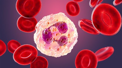Neutrophil, a white blood cell, 3D illustration. 