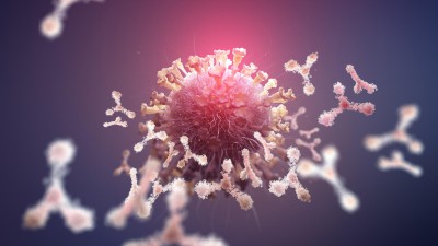 Virus protection. Antibodies and viral infection.